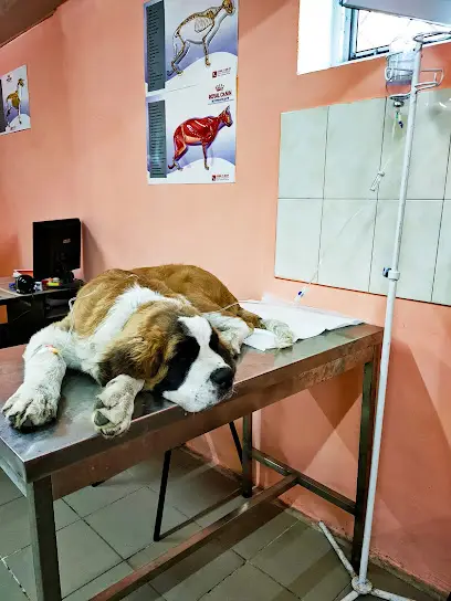 Ветеринарная клиника Lucky Star Песочин