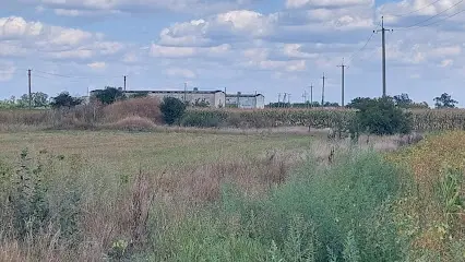 аэродром Сквира