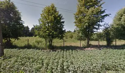 Екологічний центр виховання дітей та юнацтва