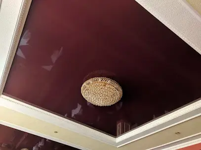 НАТЯЖНІ СТЕЛІ - "BlackLion"