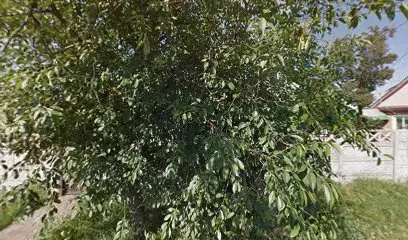 Черкассы,черкаская обдамть