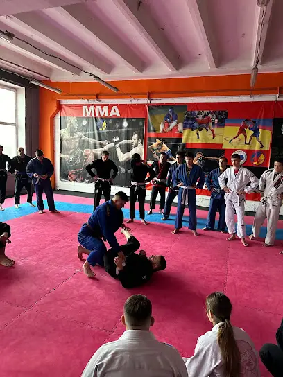 "Southside" Бразильское джиу-джитсу, борьба Винница