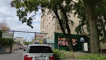 Shkliaruk Fighting School