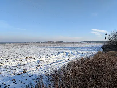 Комбікормовий завод