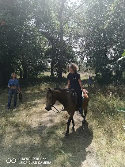 Прогулки на лошадях по заповеднику (Зелена етно-садиба "Лiсовi Озера")