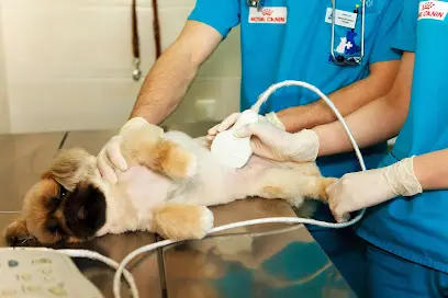 Ветеринарний центр "MyPet"