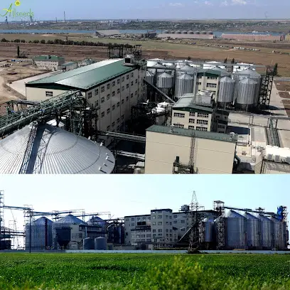 Allseeds Group Ukraine. Cherkasy regional office