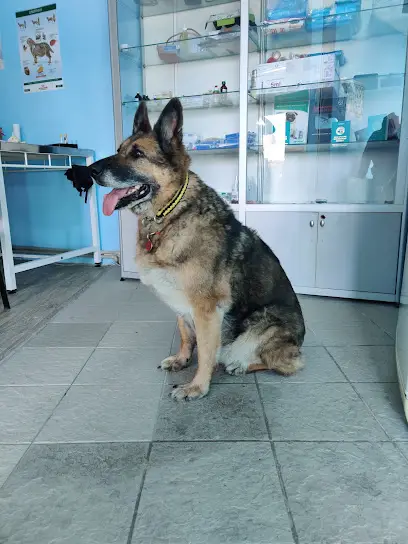 Ветеринарна клініка "Сніжний Барс"