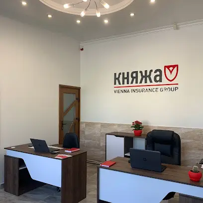 Страхова компанія Княжа