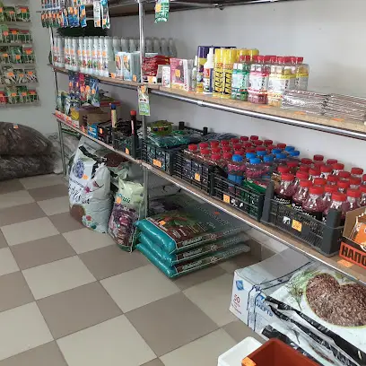 Магазин Дім Сад Город