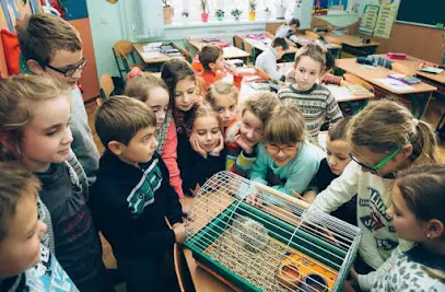 Початкова школа "Джерельце"