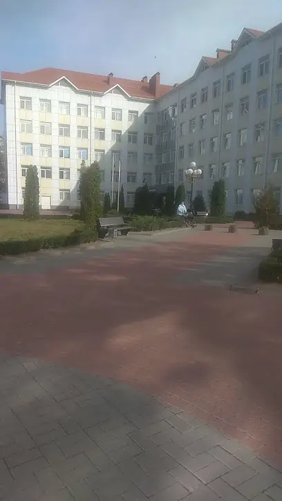 Сосновий бір