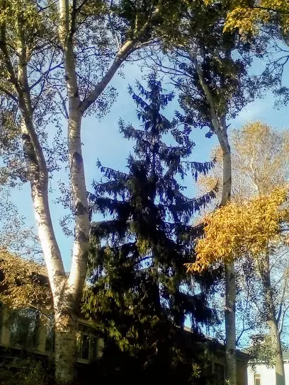 Полтавська обласна дитяча клінічна лікарня, Педіатрія № 1