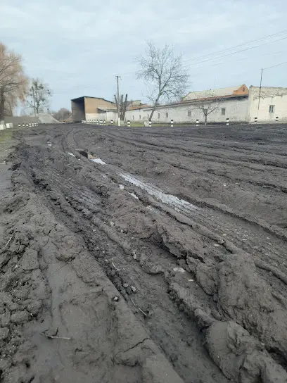 Завод з виготовлення цегли