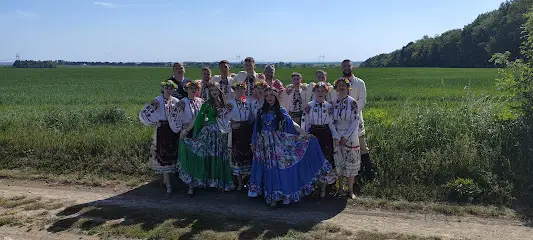 Дитяча студія народного ансамблю танцю "Ровесник"