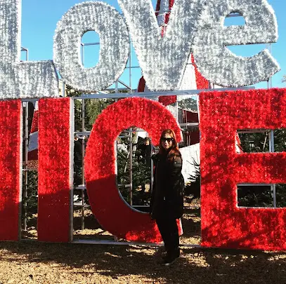 Славянский Тур