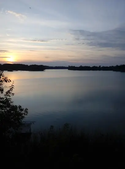 Продуктовий ринок