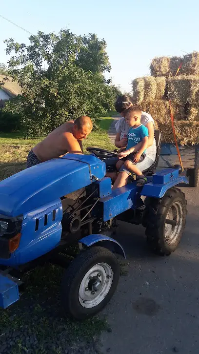 ПРОФЕСІЙНО-ТЕХНІЧНЕ УЧИЛИЩЕ №56 С.ЯРЕСЬКИ ШИШАЦЬКОГО РАЙОНУ ПОЛТАВСЬКОЇ ОБЛАСТІ