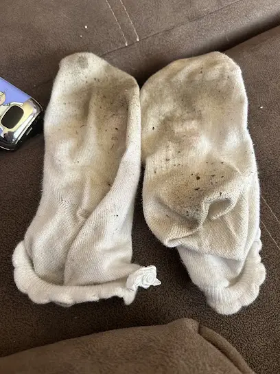 Вуменская республика