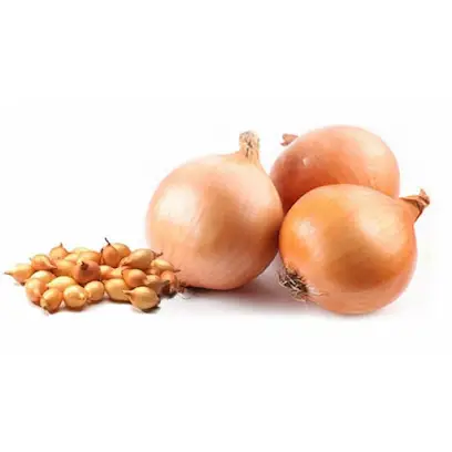 Насіння Черкащини