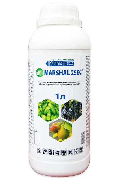 "Сад-Огород"