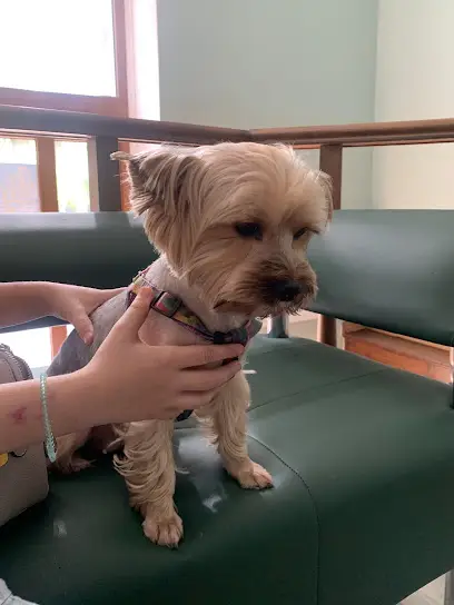 ветеринарна клініка Hard Vet