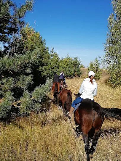 Уляники Лошади Конные прогулки