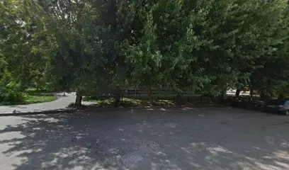 Кавуни та Дині