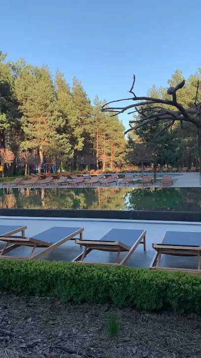 Парк-готель "Тихий Ліс"