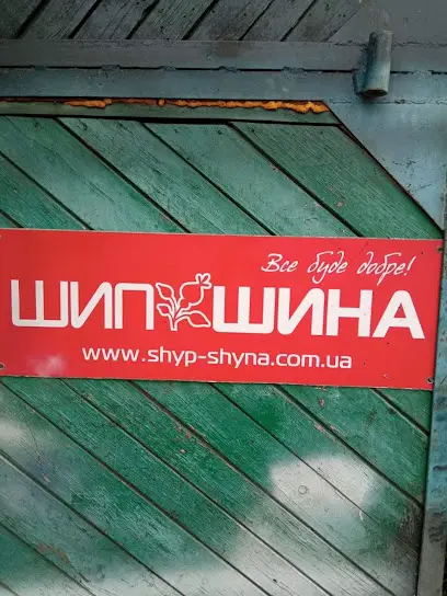 Шиномонтаж СТО Магазин Липовець