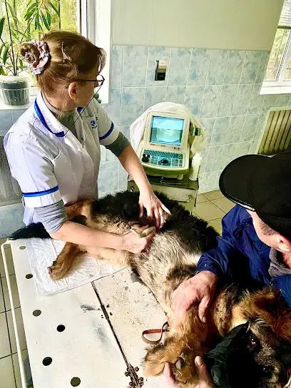 Ветеринарна Клініка