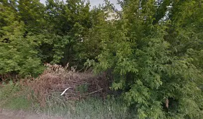 Центр соціальної та фізичної реабілітації людей з інвалідністю "Перспектива"