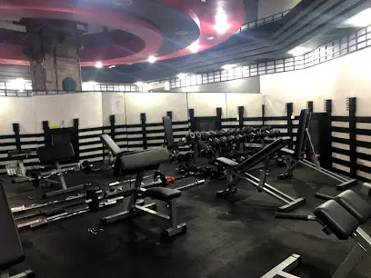 Олімп Преміум