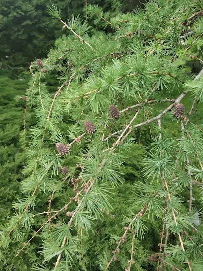 Дитяче поліклінічне відділення 7-ї міської клінічної лікарні