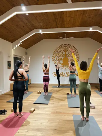 Дом Йоги &laquo;Бодхисаттва&raquo;