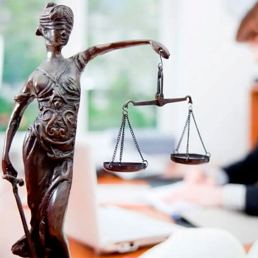 Адвокат по гражданским делам, имущественным спорам - Арсемикова И. В.