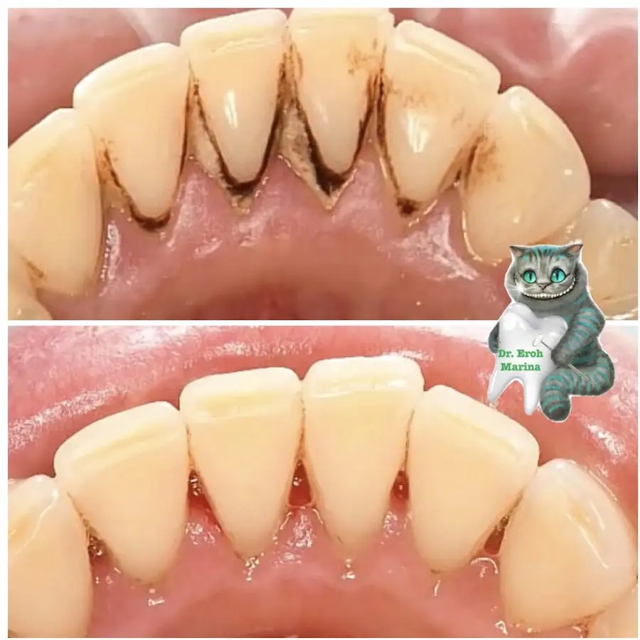 Стоматологія лікаря Єрох М А