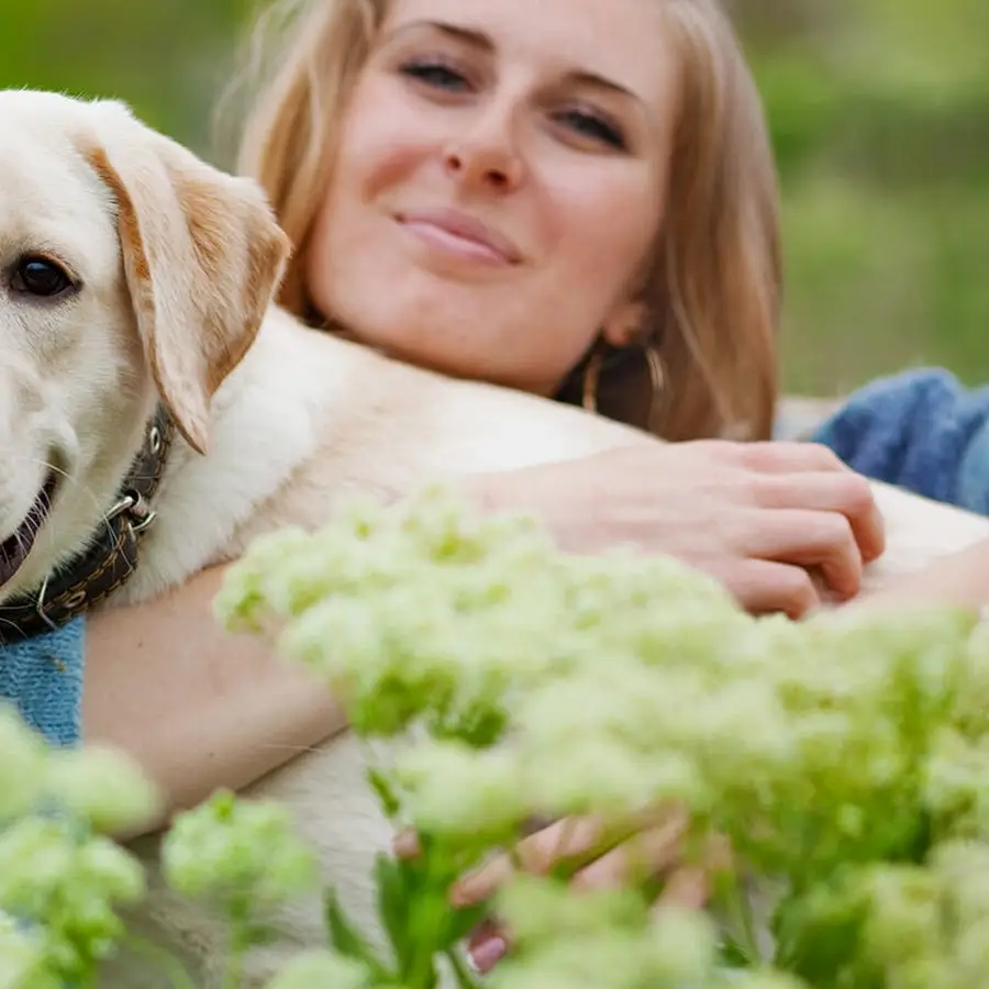 Цілодобова ветеринарна клініка RedFox