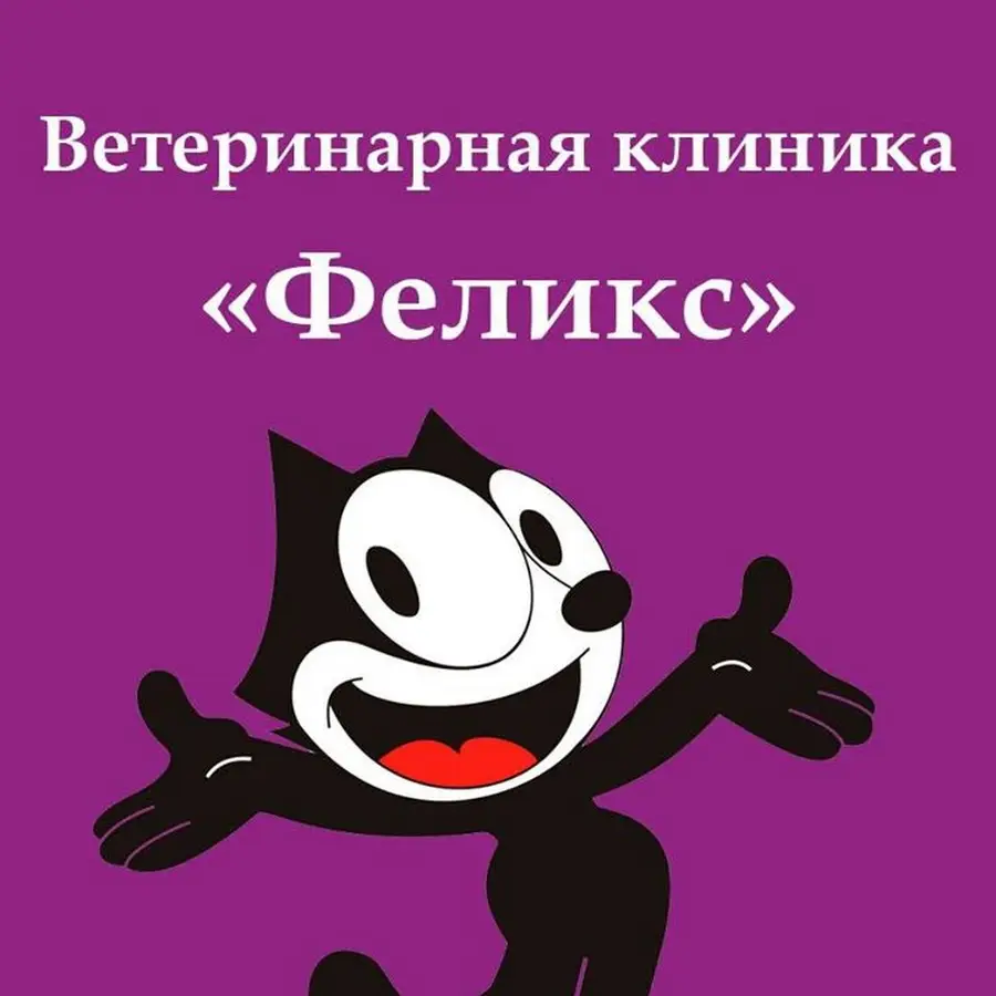 Ветеринарна клініка &laquo;Фелікс&raquo;
