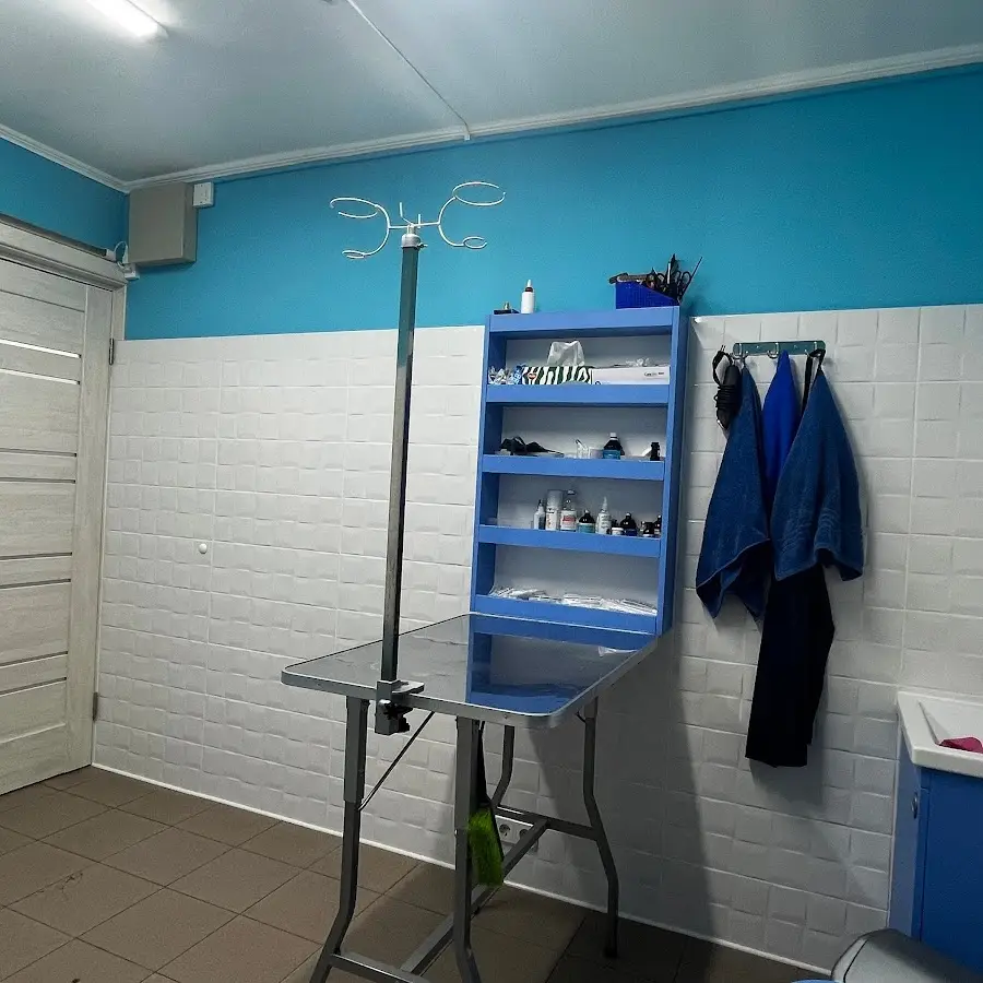 Ветеринарная клиника