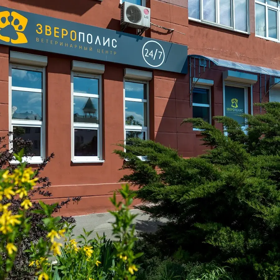 Зверополис Ветеринарный центр