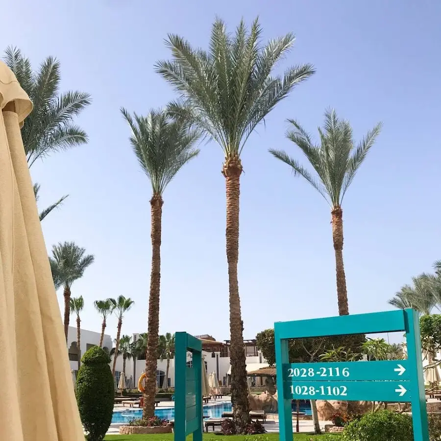 Адвант Тревел