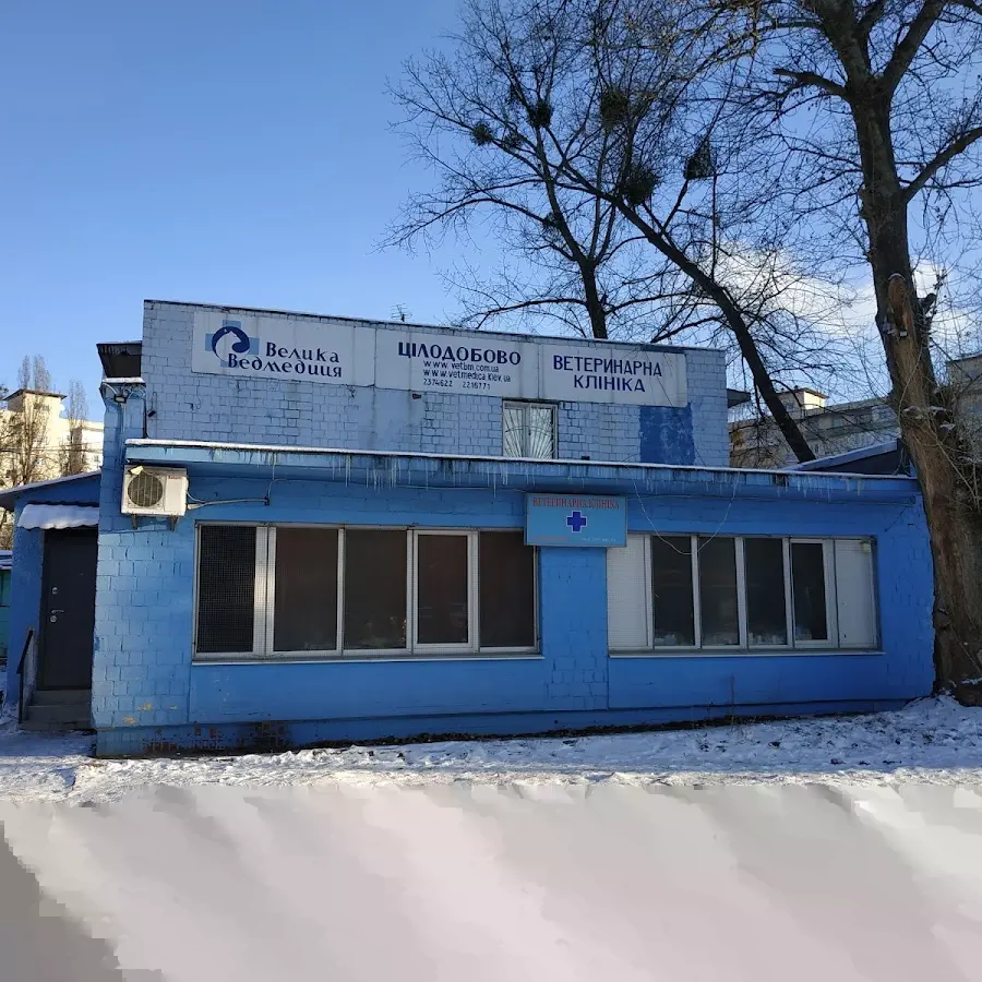 Велика Ведмедиця