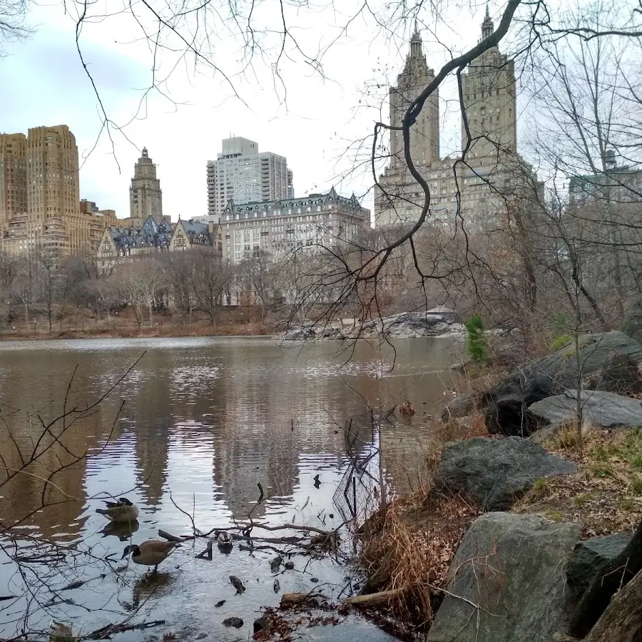 Аудит Бухгалтерія Businesses Analysis