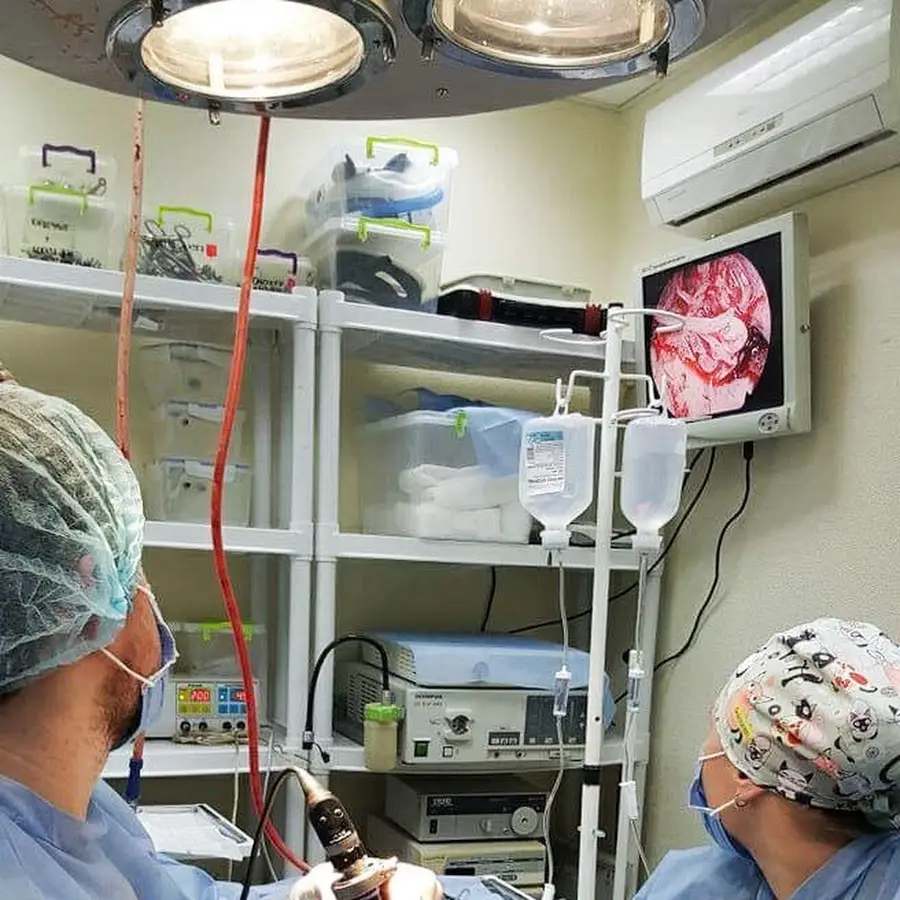 Центр Клинической Ветеринарии