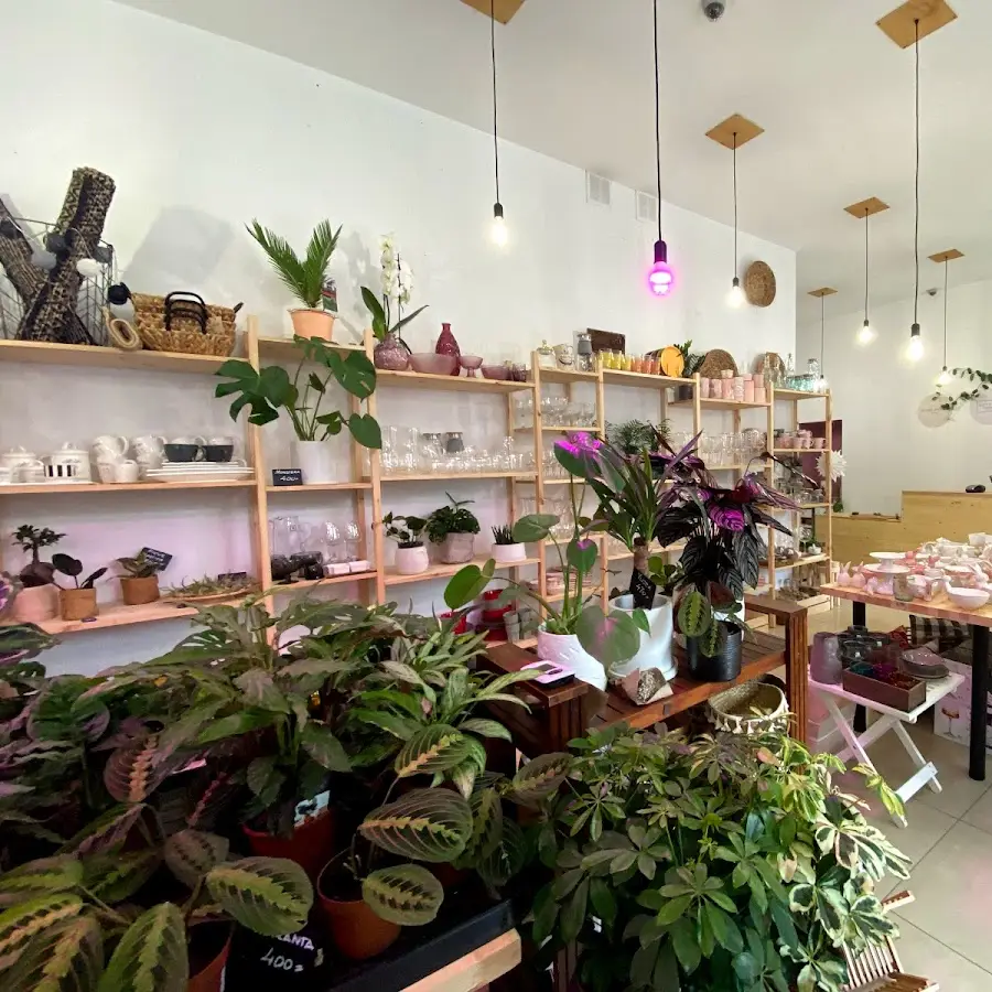 Коллаборация