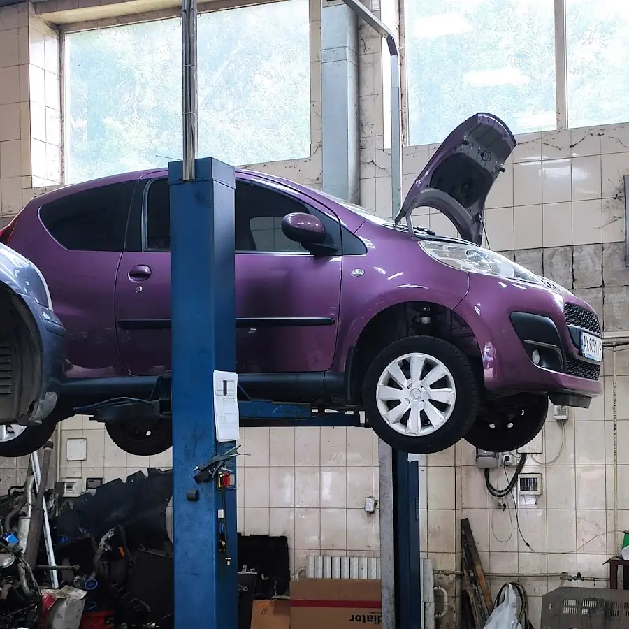 Автовектор СТО