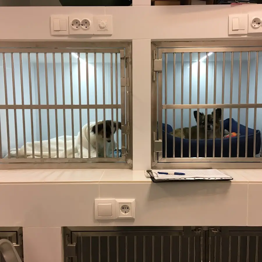 ВЕТДЕНТ-СЕРВІС ВЕТЕРИНАРНА КЛІНІКА СТОМАТОЛОГІЇ