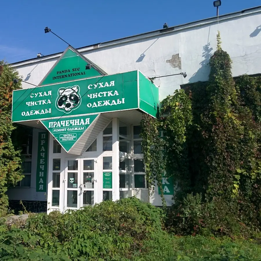 PANDA SEC INTERNATIONAL, ХИМЧИСТКА