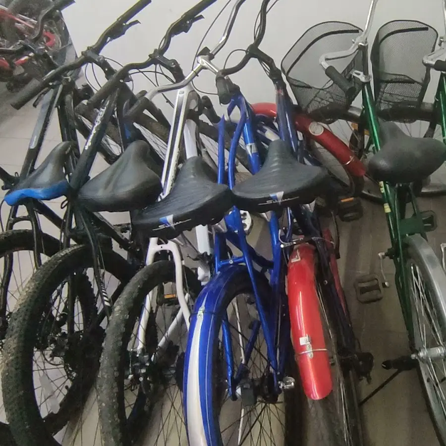 Движение Жуки